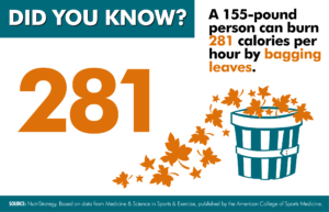 Bagging Leaves Burning Calories