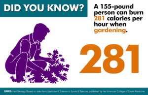 Gardening Burning Calories
