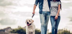 Couple on a walk with dog