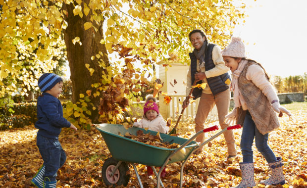 Raking Safety