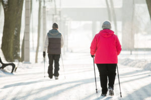 Winter Walking Poles